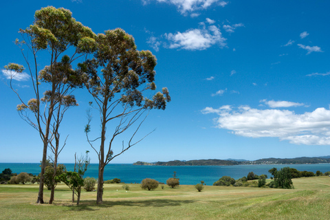 Bay of Islands: Half-Day Scenic Tour with Ferry Crossing