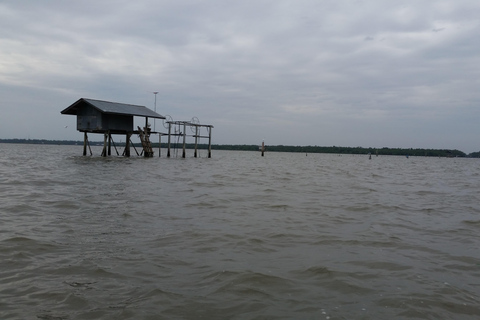 From Bangkok: Mangrove Forest and Bat Cave Private Day Tour