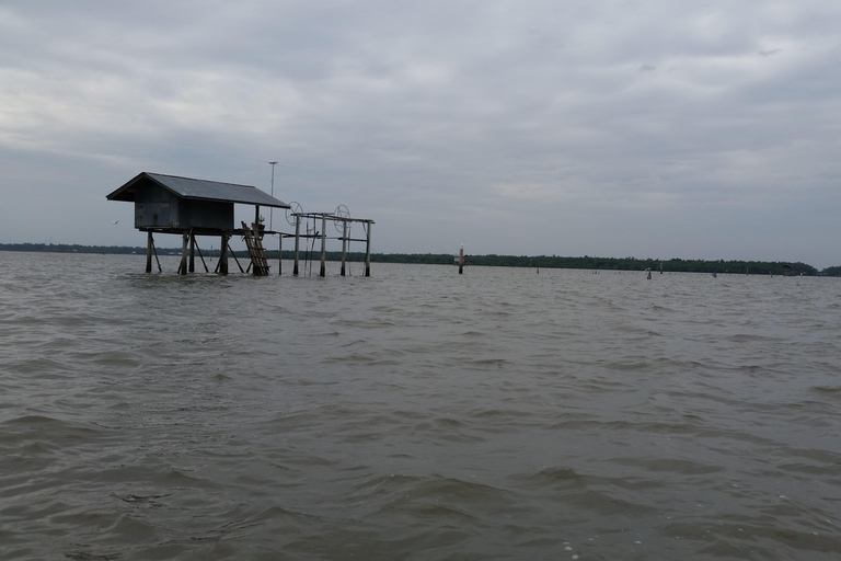 From Bangkok: Mangrove Forest and Bat Cave Private Day Tour