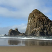 Whale Watching Tour to Depoe Bay, Cannon Beach & Tillamook