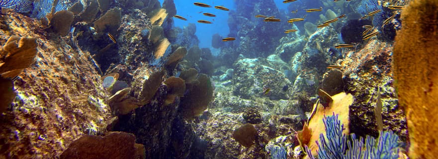 Kauai : Plongée de l'après-midi avec 2 bouteilles