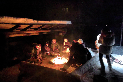 Rovaniemi: Aurora hunting and a fireside BBQ experience