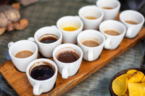 Ubud: ATV Adventure, Waterfalls, Temple, Monkey Forest Tour 60 Mins Duration (Single ATV)