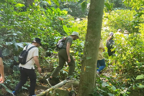 Chiang Rai: Trekking, Bamboo Cooking, and Hot Springs Tour