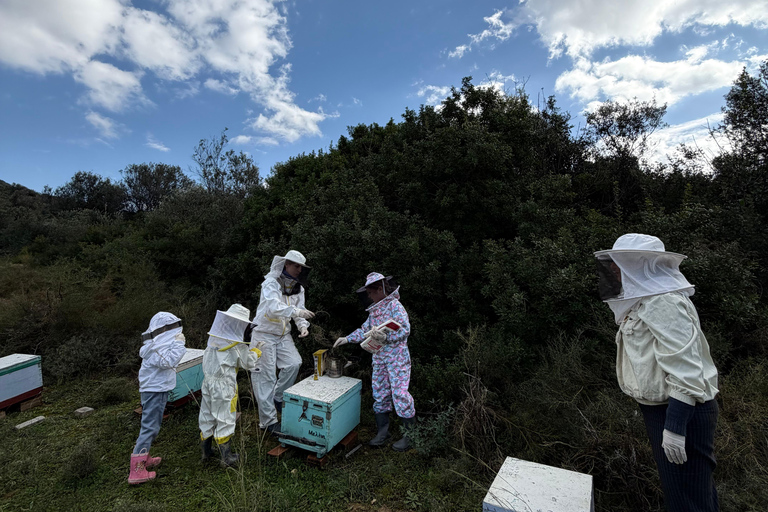 Kalamata: Beekeeping Experience with Honey Tasting