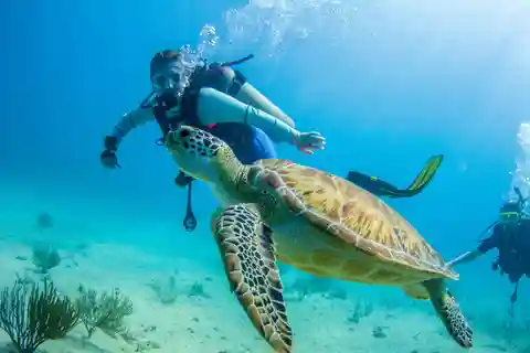 Bayhibe: Private 2 Tank Scuba Dive tour in the National Park
