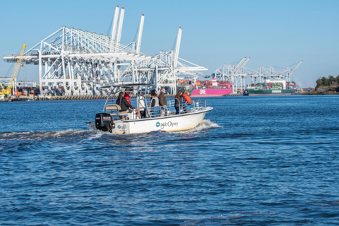 Savannah : visite informative du port en 90 minutes