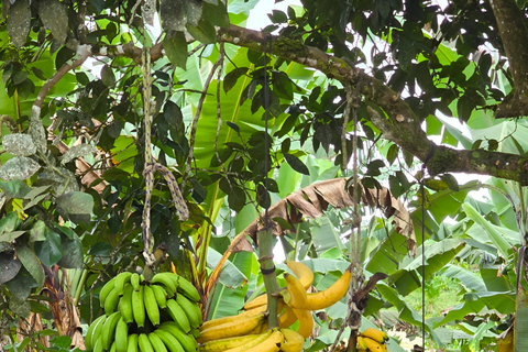 ISABELA ISLAND WONDERS: SULPHUR MINE + AGRO TOUR EXPERIENCE