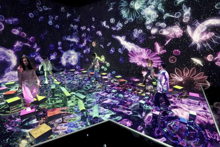 Tokyo: Tsukiji Fish Market Tour, TeamLab Planets & Subway 9:00 AM Tsukiji Tour & TeamLab Entry (12:30-16:00)