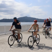 Uncharted Countryside and Temples by eBike