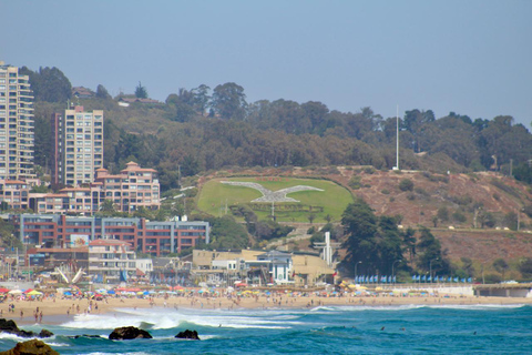 From Santiago: Full-Day Tour of Viña del Mar and Valparaiso