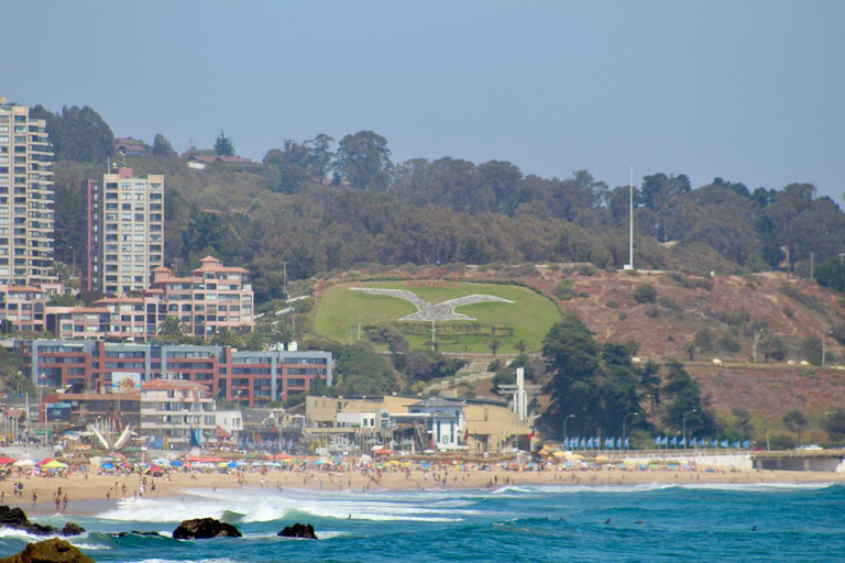 From Santiago: Full-Day Tour of Viña del Mar and Valparaiso