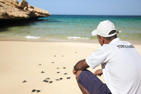 Muscat: Coastal Villages & Turtle Reserve Private Tour
