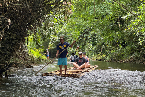 Khaolak: olifantenreservaat met schildpaddenopvangcentrum