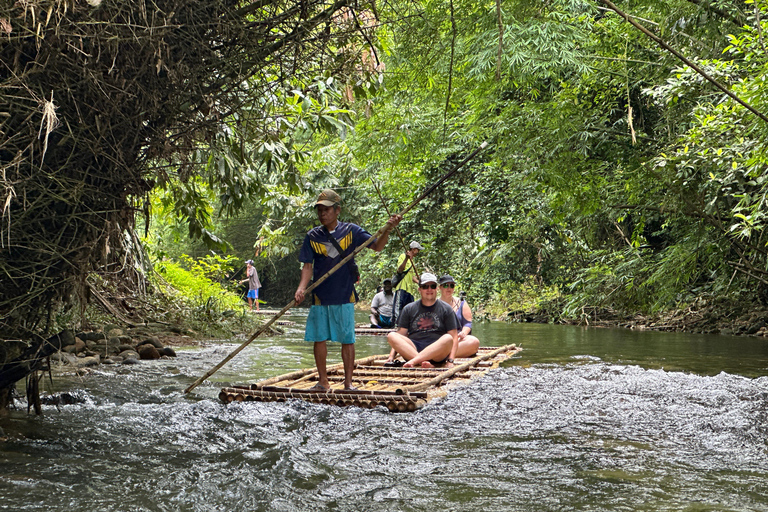 Khaolak: santuario de elefantes con centro de conservación de tortugas