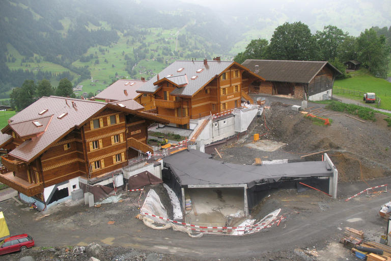 From Grindelwald: First Cliff Walk and Cable Car Tour