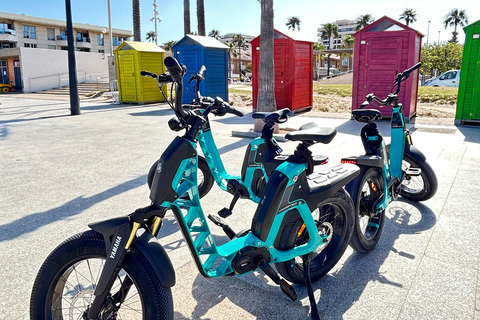 Valencia all in one: beaches, old town & city arts by E-bike Private Tour All in One E-Bike