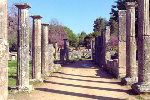 Olympia: Group Tour with entry tickets & tasting experience