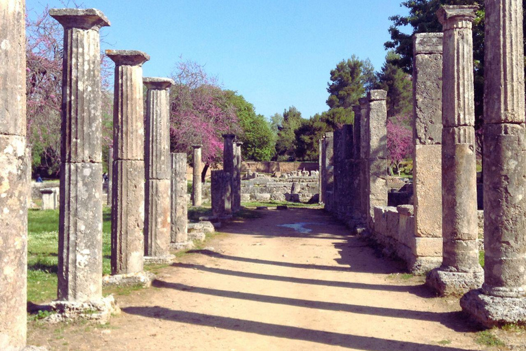 Olympia: Group Tour with entry tickets & tasting experience