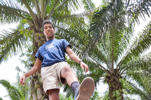 Accra: ATV quad bike, Botanical Garden, & Waterfall Tour