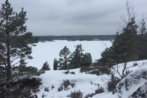 Stockholm: Naturpark-Wanderung mit Mittagessen am Lagerfeuer