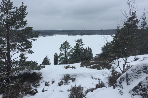 Stockholm : randonnée dans une réserve naturelle avec déjeuner autour d'un feu de camp