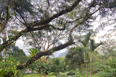 Private Bike Tour Waterfall, Views & Local Life