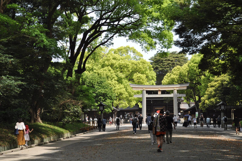 Tokyo et Fuji : Visite privée de 2 jours avec voiture de luxe