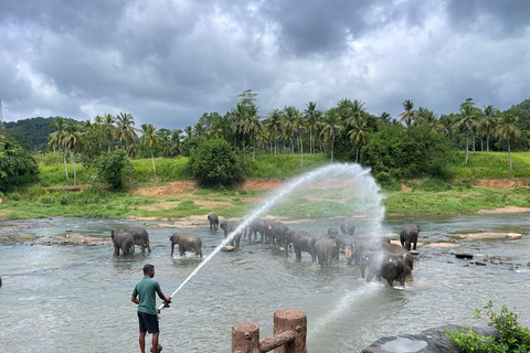 From Colombo: Ambuluwawa Tower & Pinnawala Day Trip Tour