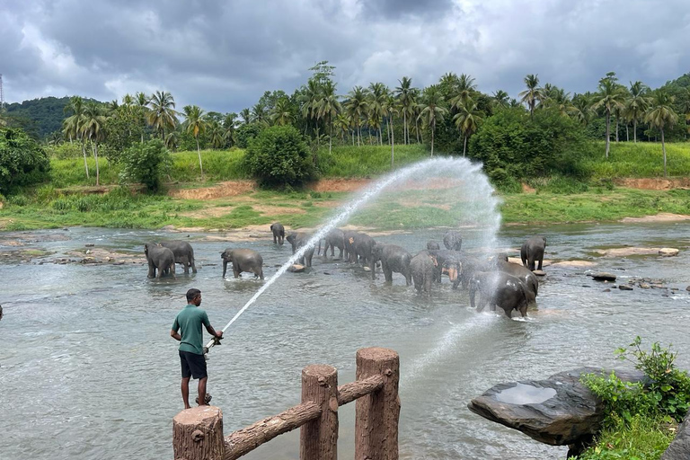 From Colombo: Ambuluwawa Tower & Pinnawala Day Trip Tour