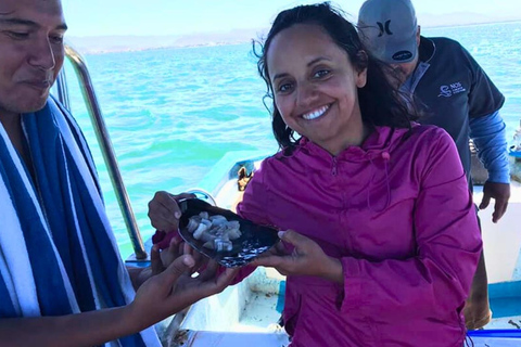 La Paz: Mangrove Adventure, Snorkeling and Shellfish Tasting