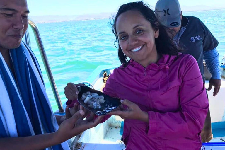 La Paz: Mangrove Adventure, Snorkeling and Shellfish Tasting