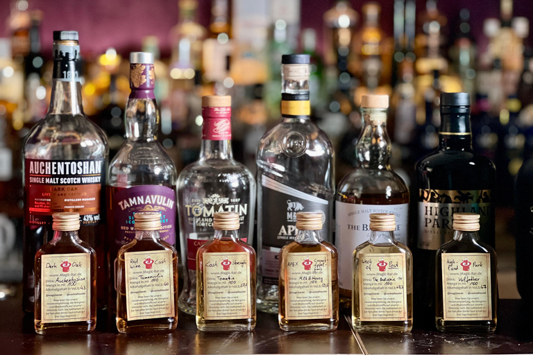 Dresden: Whisky Tasting Experience with Expert Guidance