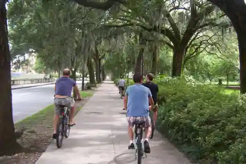 Savannah: Off-the-Beaten Path 2-stündige geführte Fahrradtour