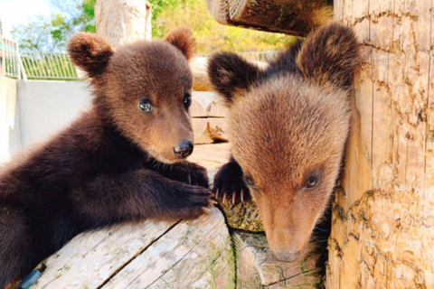 Hokkaido: Noboribetsu & Lake Toya Day Trip to Snow Paradise