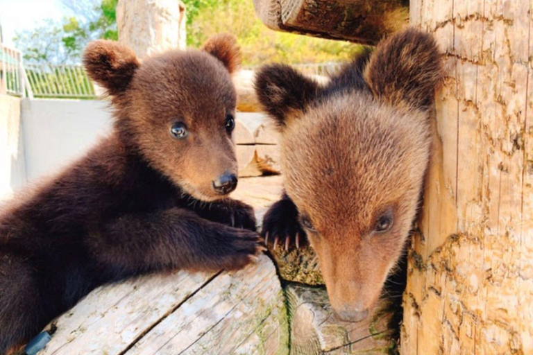 Hokkaido: Noboribetsu & Lake Toya Day Trip to Snow Paradise