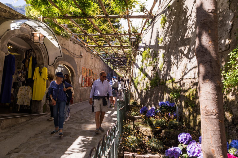 Excursión en minibús desde Nápoles: Sorrento, Amalfi y Positano