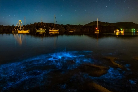 Auckland: Bioluminescentie-kajaktocht