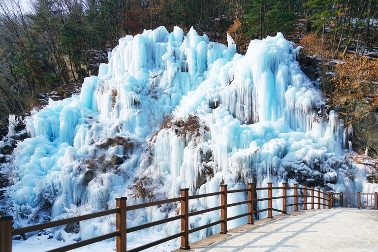 From Seoul: Vivaldi Park Ski World with Eobi Ice Valley Transport Only - Meeting at Hongik Univ. Station