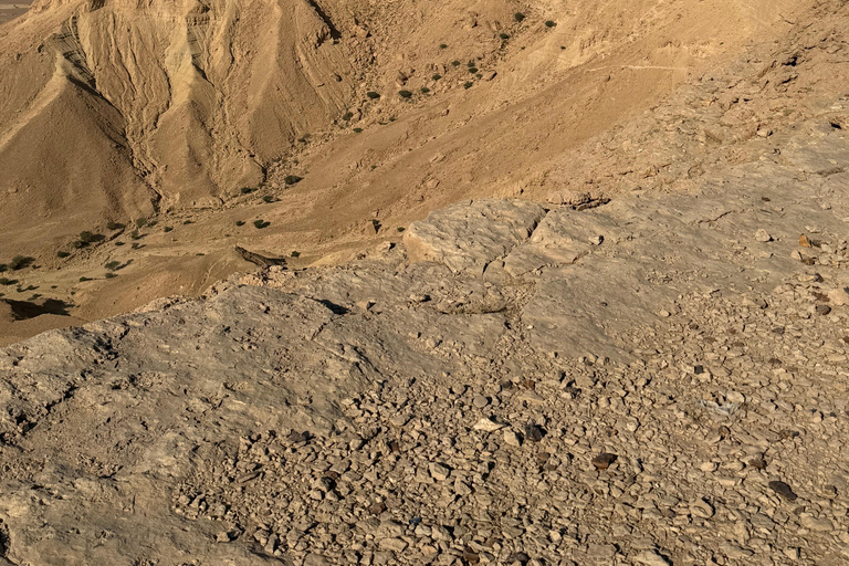 Riyadh: Edge of the World e Darb Al-Manjoor, trattamento VIP