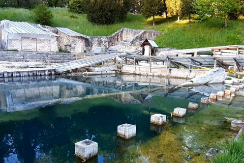 Desde Zagreb:Descubre el norte de Croacia, los museos, el castillo y la ciudad