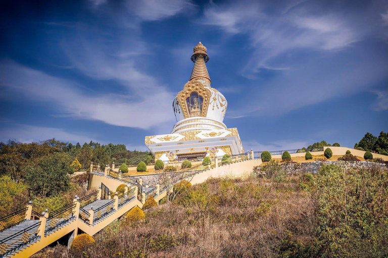 Kathmandu: Buddhist Monasteries Tour with Lunch