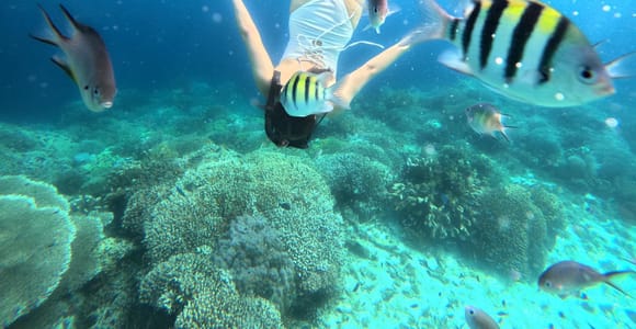Panglao: Island Hopping w/Balicasag (Shared)