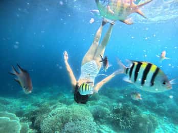 Panglao: Excursão pelas ilhas com/Balicasag (Partilhado)
