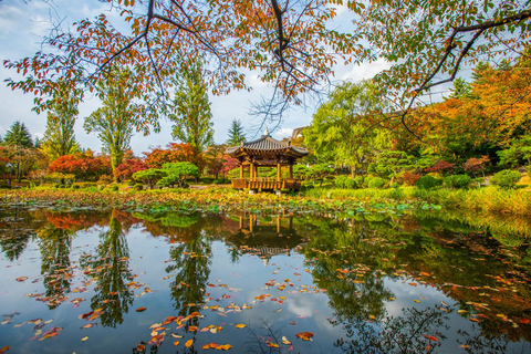 Busan: Gyeongju Autumn Foliage Day Tour with Historic Sites Gyeongju Foliage Shared Tour, Meet at Seomyeon Station