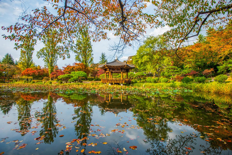 Busan: Gyeongju Autumn Foliage Day Tour with Historic Sites Gyeongju Foliage Shared Tour, Meet at Seomyeon Station