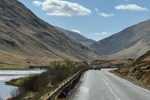 From Edinburgh: Glenfinnan, Fort William and Highland Cows