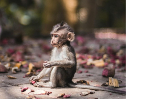 Ubud: Tour Monkey Forest, Goa Gajah, Balinese Puppet Museum
