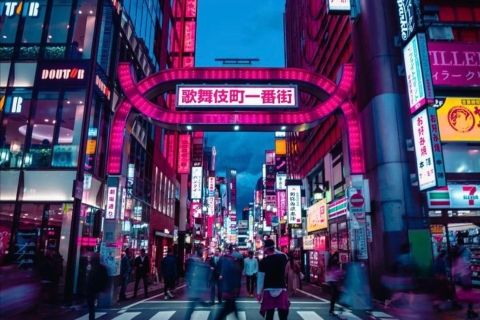 Tokio: Prywatna wycieczka po mieście z odbiorem i transportem powrotnym do hotelu