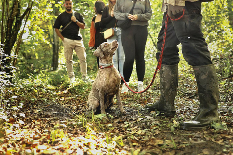 Zagreb Private Truffle Hunting Tour